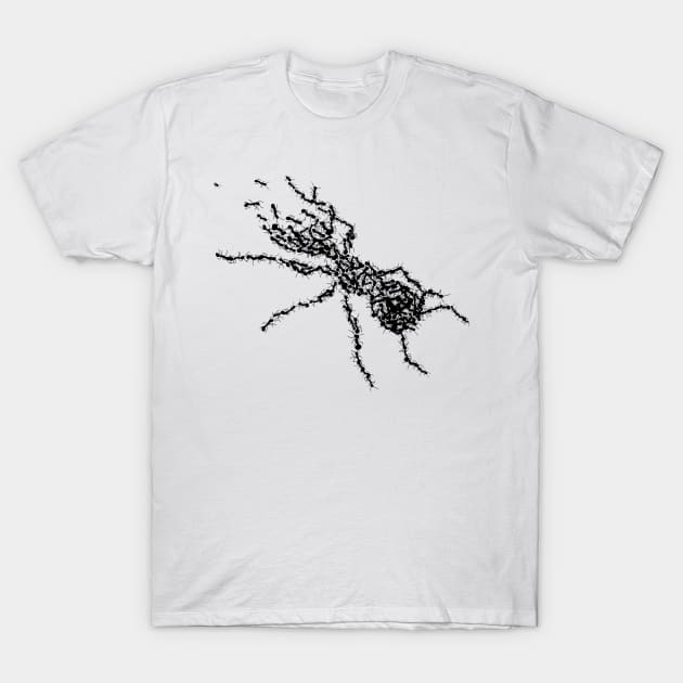 Ants United T-Shirt by CharMar